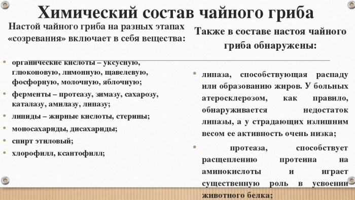 Чайный гриб. Польза для человека, свойства и противопоказания