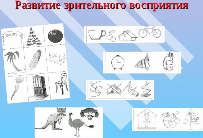 Оптическая дисграфия. Упражнения для коррекции, что это такое у младших школьников, дошкольников