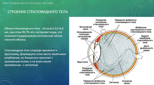 Стекловидное тело глаза: отслоение. Что это, симптомы, лечение