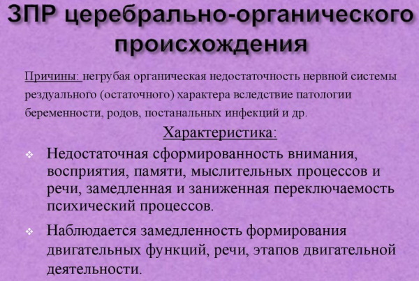 ЗПР по Лебединской. Классификация задержки психического развития, определение, виды