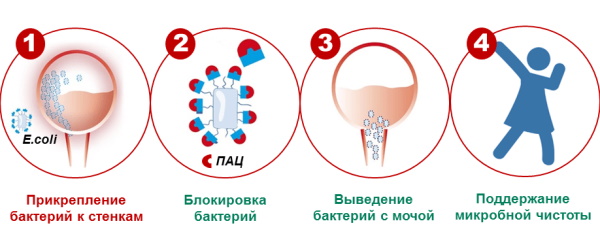 Д-Манноза (D-Mannose). Инструкция по применению для женщин, отзывы