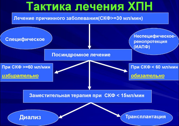 Хроническая почечная недостаточность. Симптомы, лечение, стадии