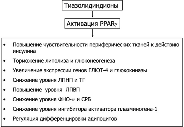 Тиазолидиндионы препараты при сахарном диабете. Список