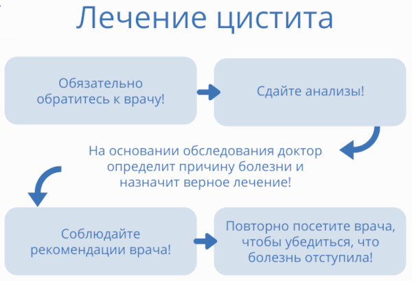 Цистит после месячных. Причины, может ли быть задержка