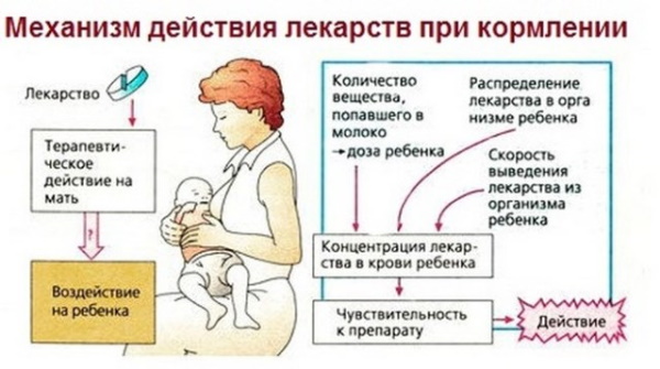 Цистит при грудном вскармливании. Чем лечить после родов