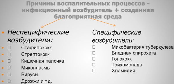 Урогенитальные инфекции. Что это такое, лечение, диагностика