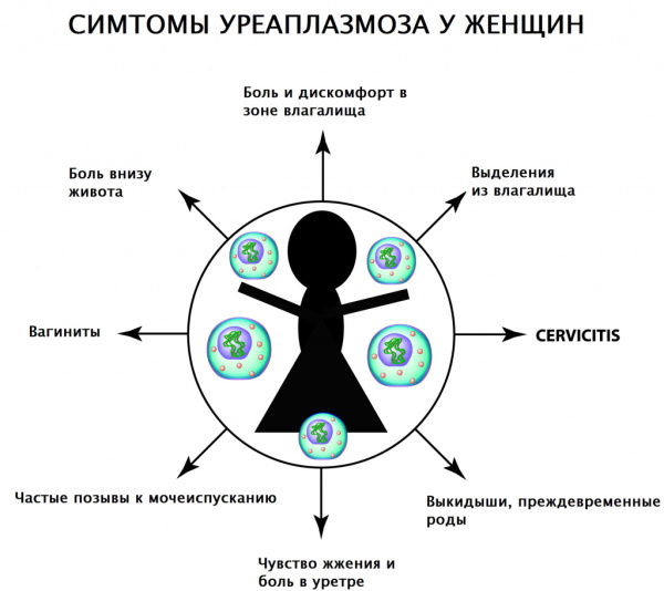 Урогенитальные инфекции. Что это такое, лечение, диагностика