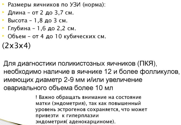 УЗИ яичников у женщин. Как проходит, что показывает