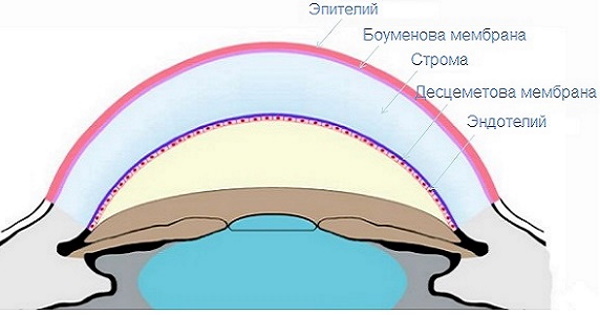 Заболевания роговицы глаза дистрофические. Лечение, рекомендации