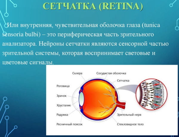 Заболевания сетчатки глаза. Список, какие бывают