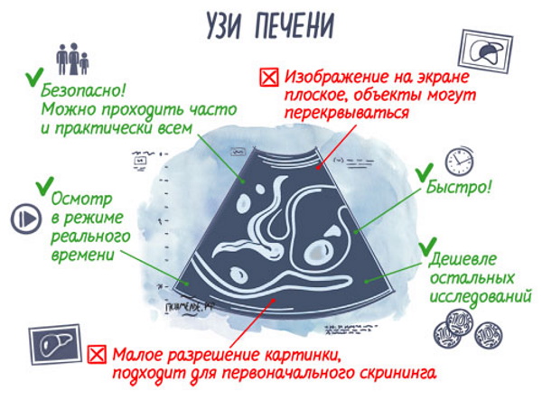 Эхогенность печени повышена. Что это значит у взрослого