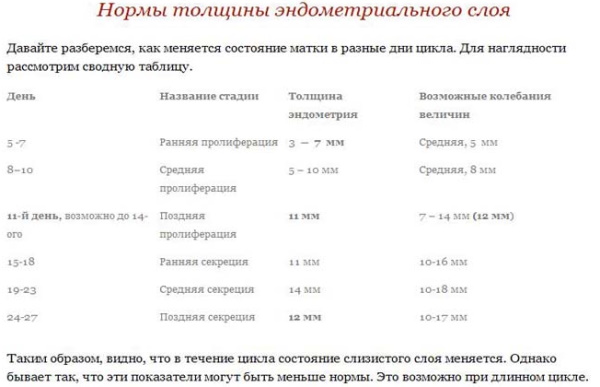 Эндометрий при беременности на ранних сроках. Размеры, норма, как увеличить