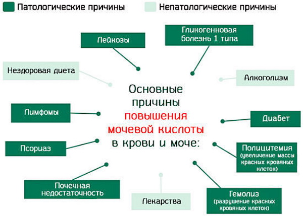 Гиперурикемия. Что это такое, симптомы и лечение