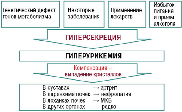 Гиперурикемия. Что это такое, симптомы и лечение