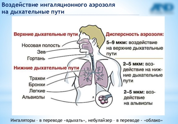 Ингалятор And CN-231 компрессорный. Отзывы, цена