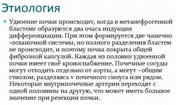 Неполное удвоение левой/правой почки у взрослых. Что это такое