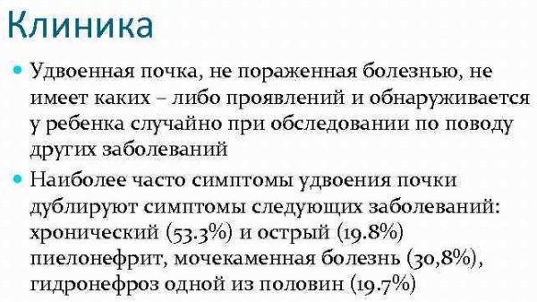 Неполное удвоение левой/правой почки у взрослых. Что это такое