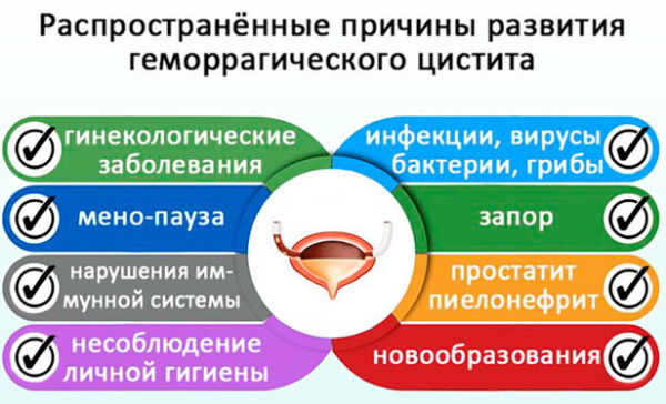 Острый (геморрагический) цистит с кровью у женщин. Лечение