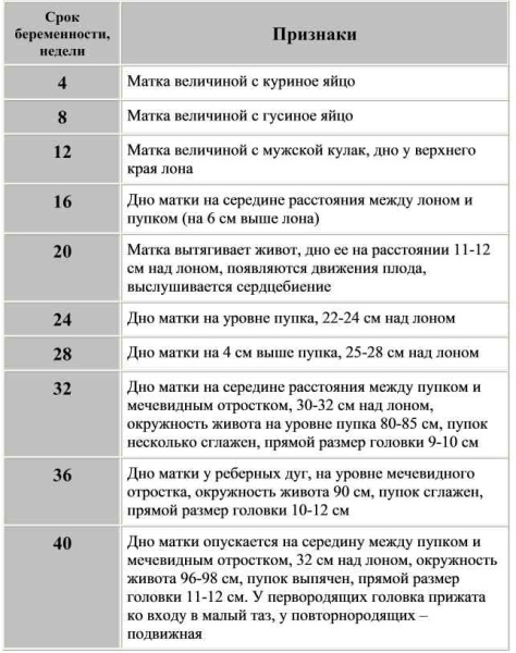 Размер матки по неделям беременности у повторнородящих, первородящих в см, мм