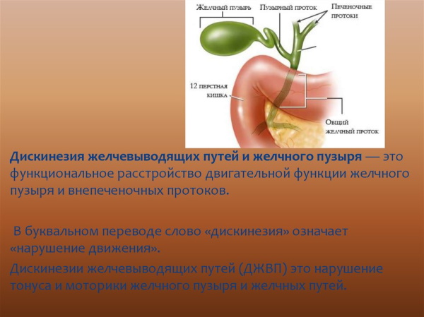 Размеры желчного пузыря. Норма по УЗИ