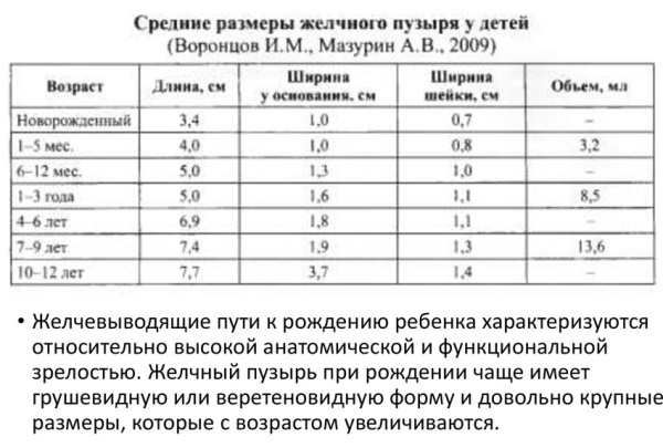 Размеры желчного пузыря. Норма по УЗИ