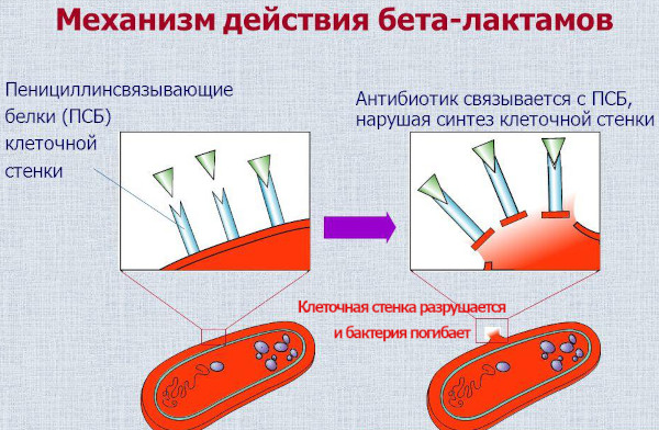 Антибиотики после операции в гинекологии. Список, названия