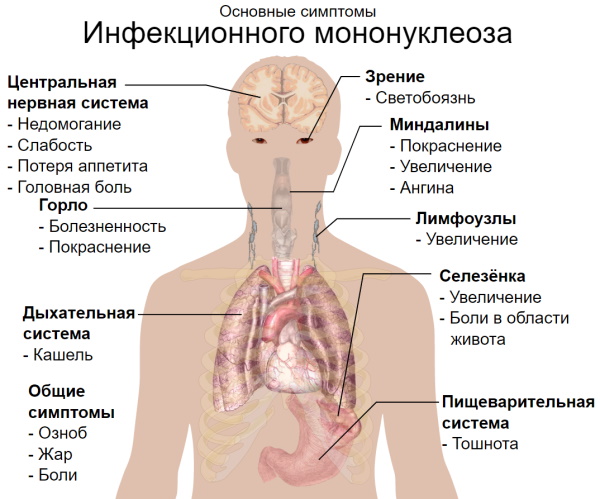 Болит горло только по ночам, а днем не болит