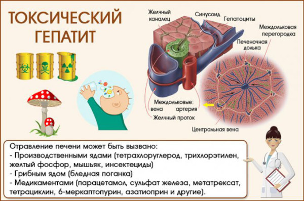 Гепатрин или Эссенциале. Что лучше для печени