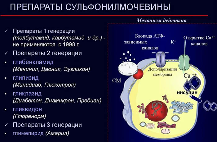 Сульфонилмочевины препараты. Список, названия, действие