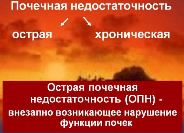 Восстановление почек после запоя, алкоголя, химиотерапии, антибиотиков