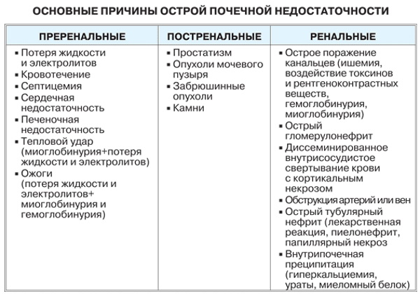 Восстановление почек после запоя, алкоголя, химиотерапии, антибиотиков