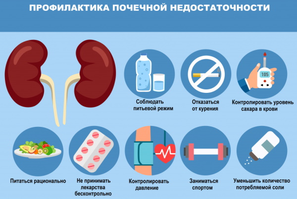 Восстановление почек после запоя, алкоголя, химиотерапии, антибиотиков