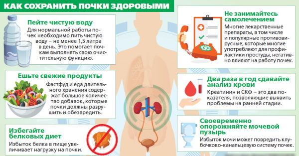 Восстановление почек после запоя, алкоголя, химиотерапии, антибиотиков