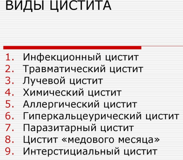 Бактериальный цистит. Лечение у женщин, препараты, симптомы