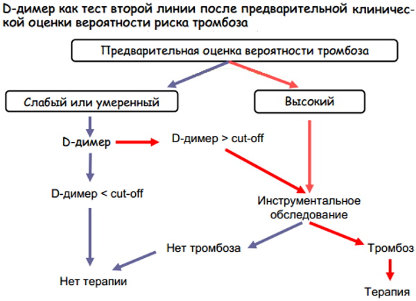 Д-димер повышен в крови. Лечение, как понизить