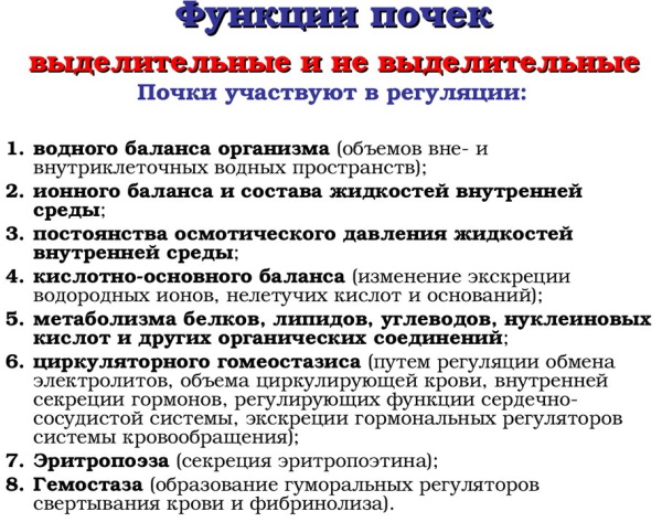 Почему отказывают почки. Что происходит, симптомы, причины