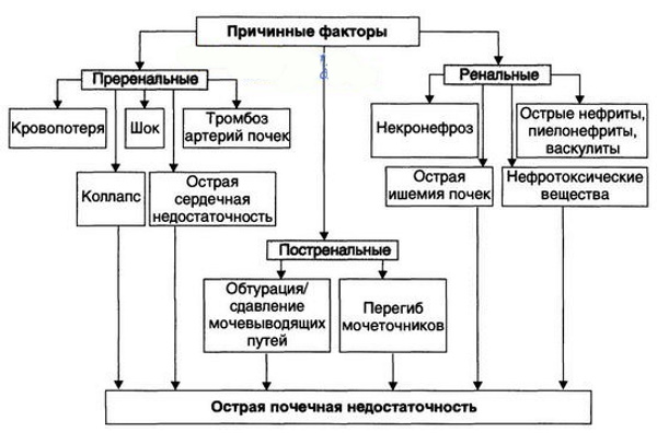 Почему отказывают почки. Что происходит, симптомы, причины