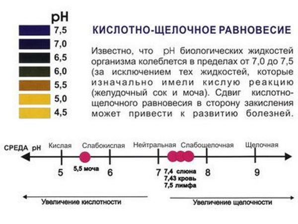 Щелочные ингаляции. Что это такое, Небулайзером, как разводить