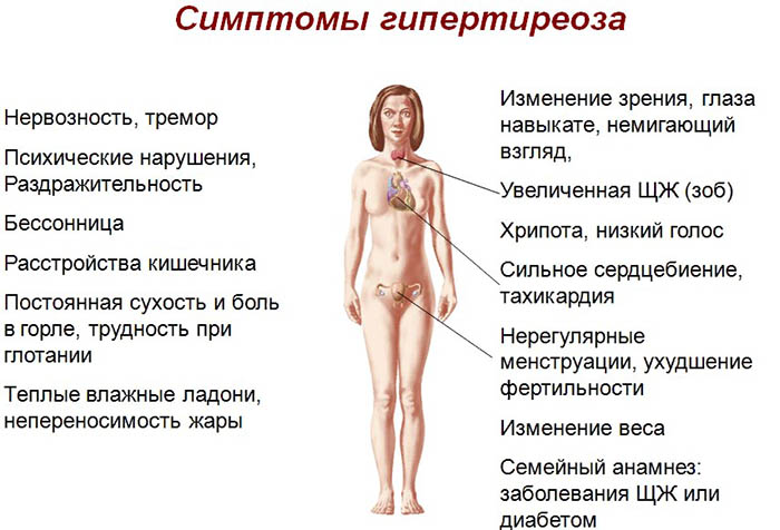 Дисфункция щитовидной железы у женщин. Симптомы, что это