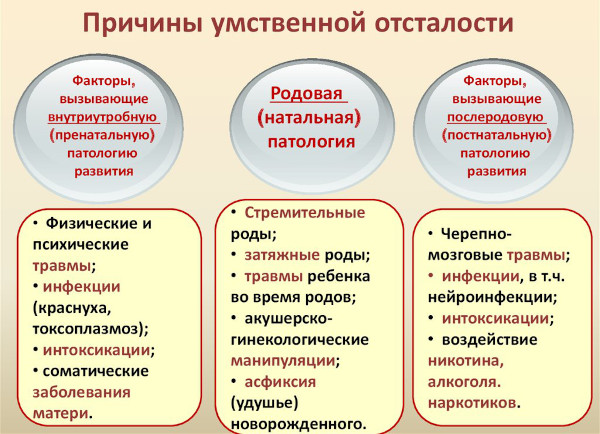 Легкая умственная отсталость у детей. Уровень IQ, характеристика