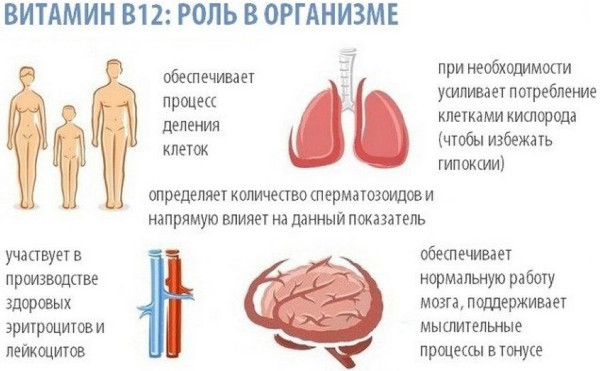 Мини-гастрошунтирование желудка. Что это, цена, отзывы