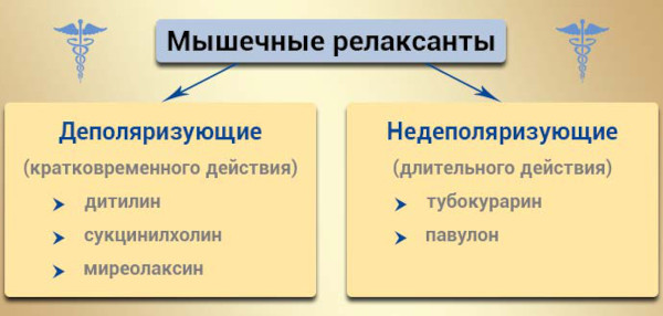 Миорелаксанты при остеохондрозе шейного, грудного, поясничного отделов позвоночника