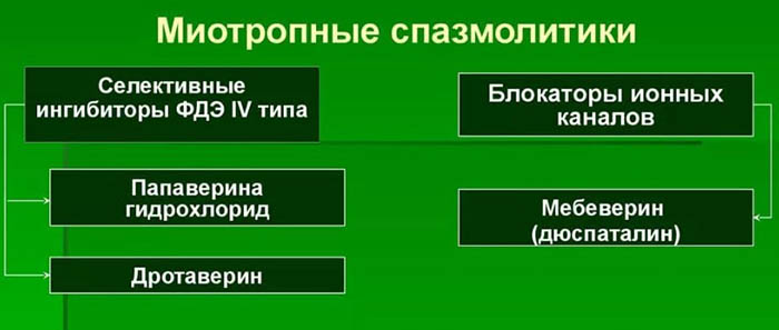 Миотропные препараты для головного мозга, сосудов