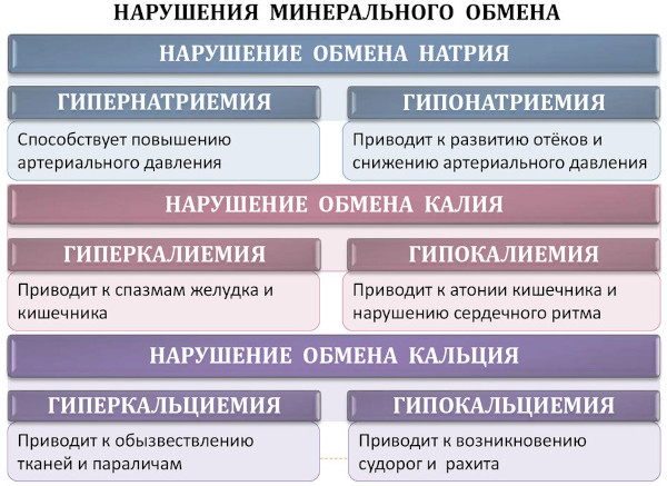 Нарушение обмена веществ (метаболизма). Симптомы, как восстановить, лечение