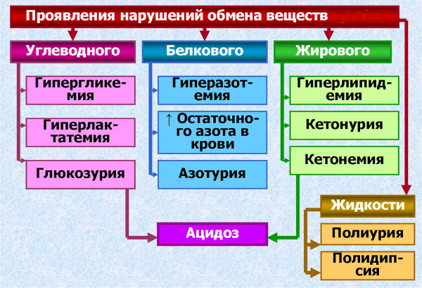 Нарушение обмена веществ (метаболизма). Симптомы, как восстановить, лечение