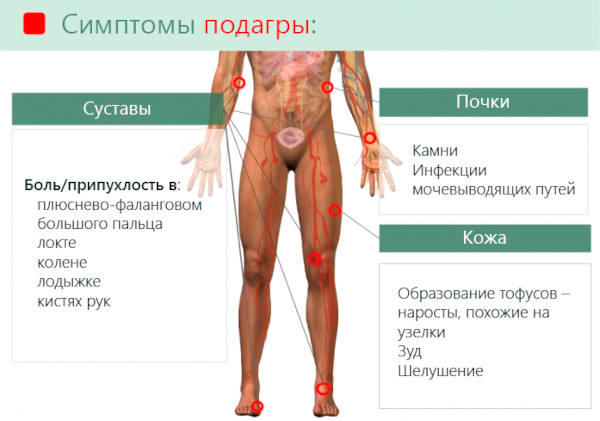 Аскорутин при месячных. Чем помогает, как принимать