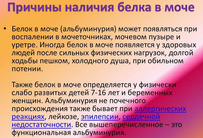 Как снизить белок в моче при беременности в 1-2-3 триместре