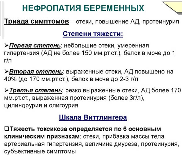 Как снизить белок в моче при беременности в 1-2-3 триместре