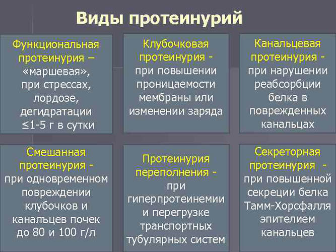 Как снизить белок в моче при беременности в 1-2-3 триместре