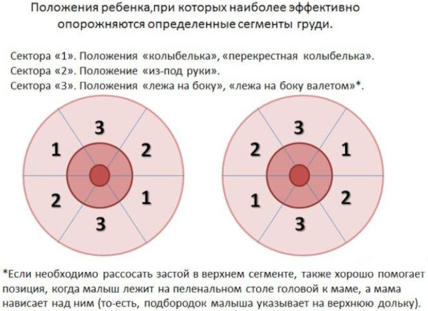 Массаж при лактостазе у кормящих мам. Как делать расцеживание молочных желез